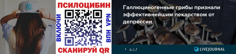 Псилоцибиновые грибы Psilocybe  Шиханы 
